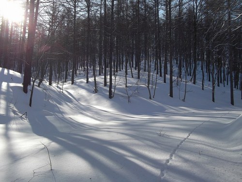 DSCF0438.jpg