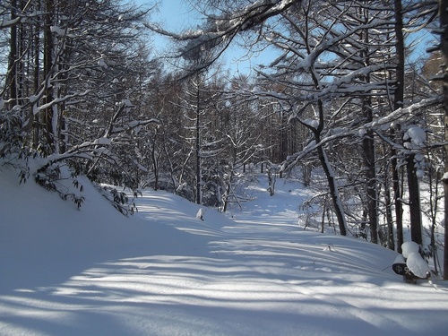 DSCF0529.jpg