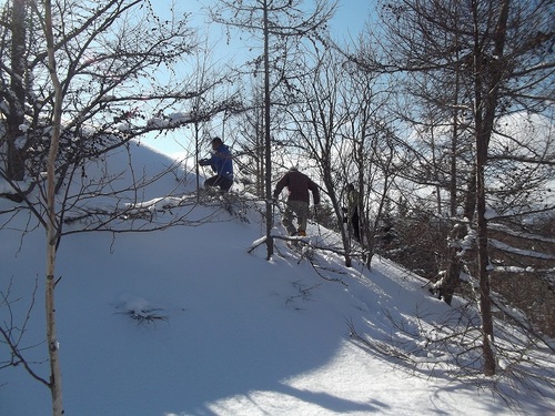 DSCF0536.jpg