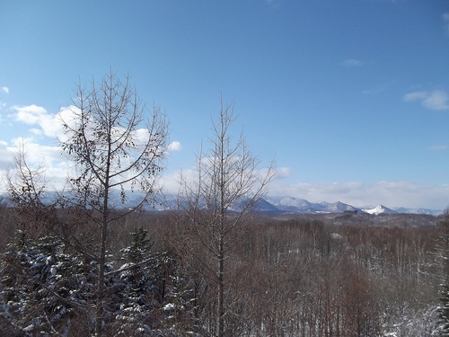 DSCF0544.jpg