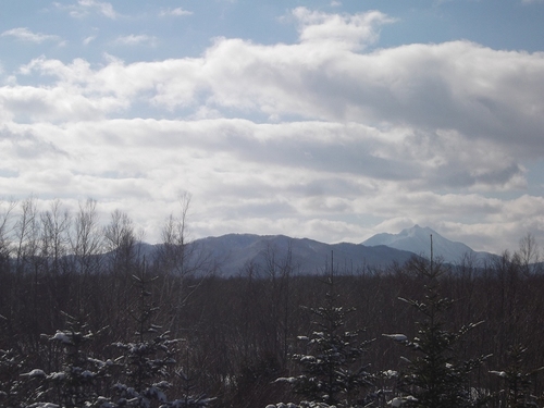 DSCF0545.jpg