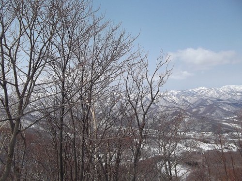 DSCF1035.jpg