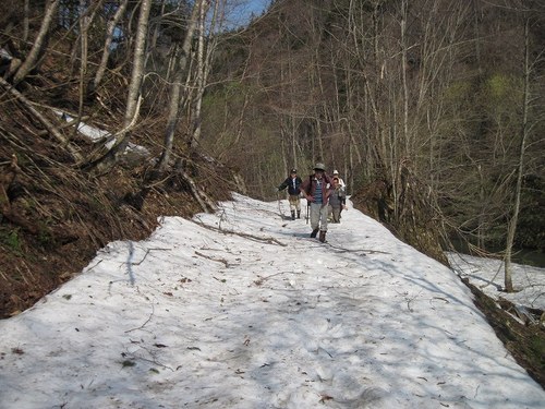 IMG_0017.jpg
